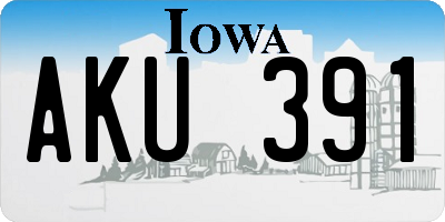 IA license plate AKU391