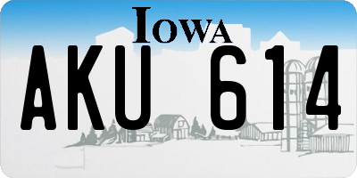IA license plate AKU614