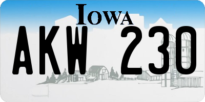 IA license plate AKW230