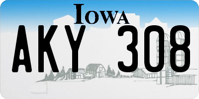 IA license plate AKY308