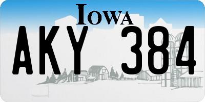 IA license plate AKY384