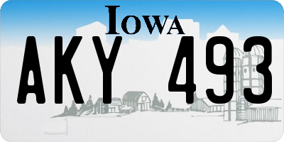 IA license plate AKY493