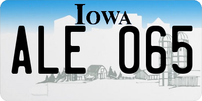 IA license plate ALE065