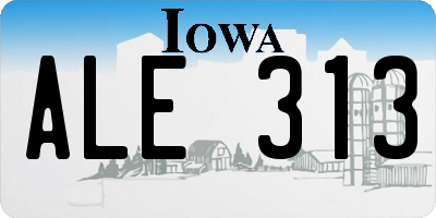 IA license plate ALE313