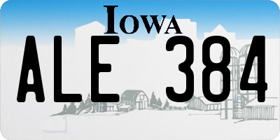 IA license plate ALE384