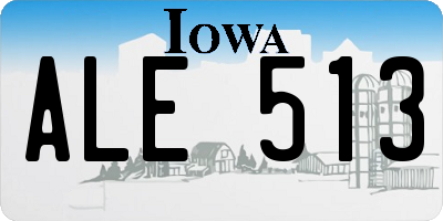 IA license plate ALE513