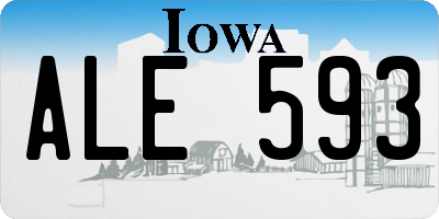 IA license plate ALE593