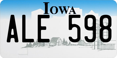 IA license plate ALE598