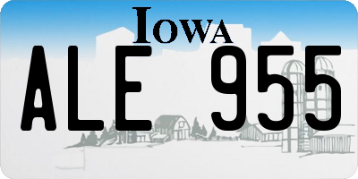 IA license plate ALE955