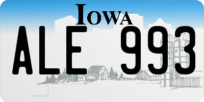 IA license plate ALE993