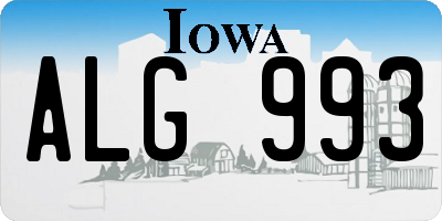 IA license plate ALG993