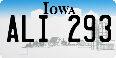 IA license plate ALI293
