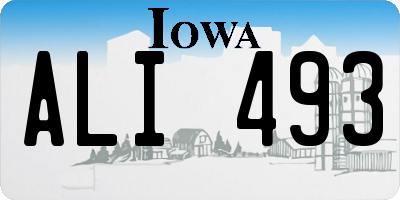 IA license plate ALI493
