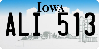 IA license plate ALI513