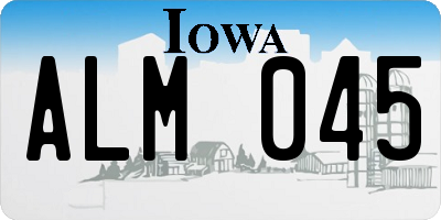 IA license plate ALM045