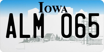 IA license plate ALM065