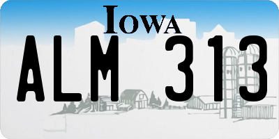 IA license plate ALM313