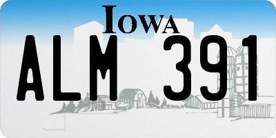 IA license plate ALM391