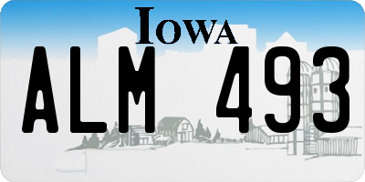 IA license plate ALM493