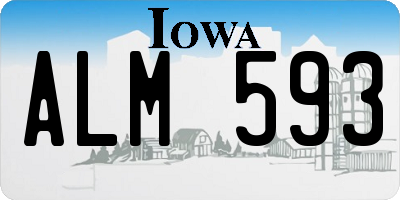 IA license plate ALM593