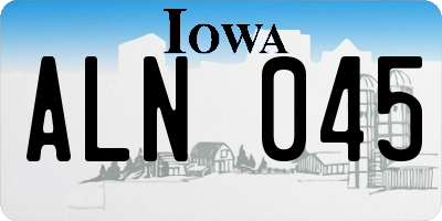 IA license plate ALN045