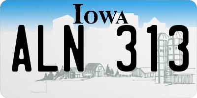 IA license plate ALN313