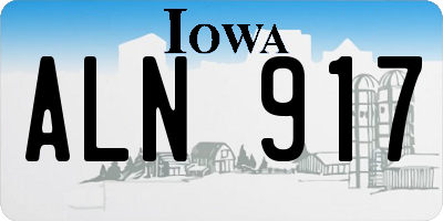 IA license plate ALN917