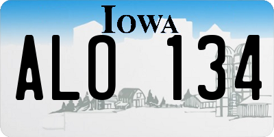 IA license plate ALO134