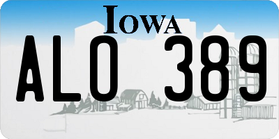 IA license plate ALO389