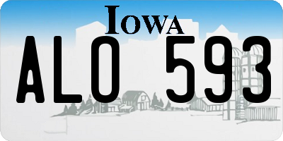 IA license plate ALO593
