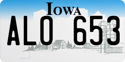 IA license plate ALO653