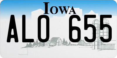 IA license plate ALO655