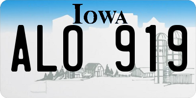 IA license plate ALO919