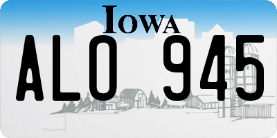 IA license plate ALO945