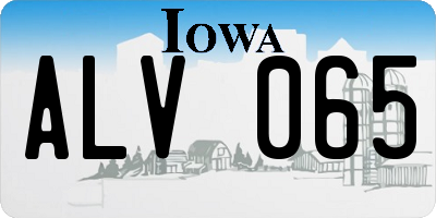 IA license plate ALV065