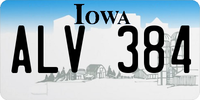 IA license plate ALV384