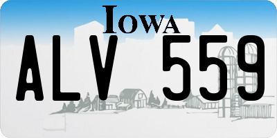 IA license plate ALV559