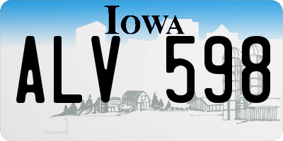 IA license plate ALV598