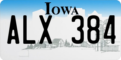 IA license plate ALX384