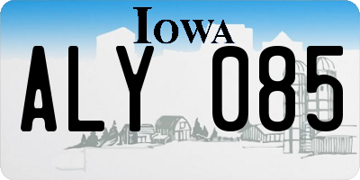 IA license plate ALY085
