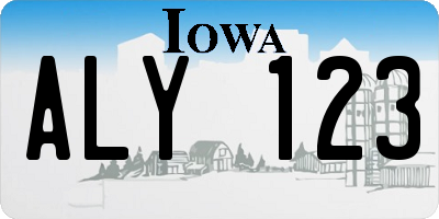IA license plate ALY123