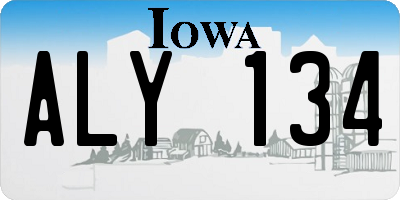 IA license plate ALY134