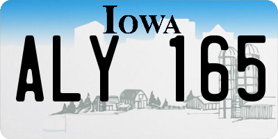 IA license plate ALY165