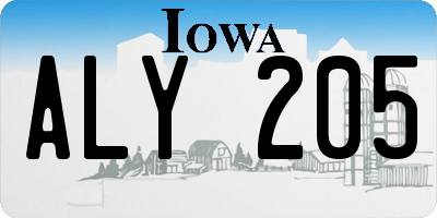 IA license plate ALY205