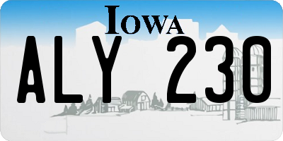 IA license plate ALY230