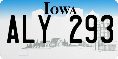IA license plate ALY293