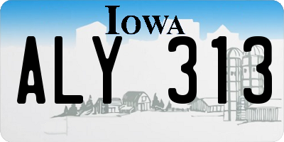 IA license plate ALY313