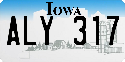 IA license plate ALY317