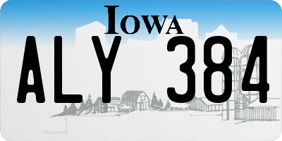 IA license plate ALY384
