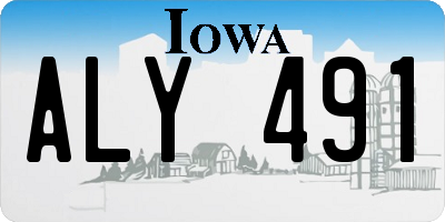 IA license plate ALY491